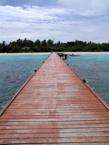 2004 Meedhupparu Malediven,_DSC03475 B_478